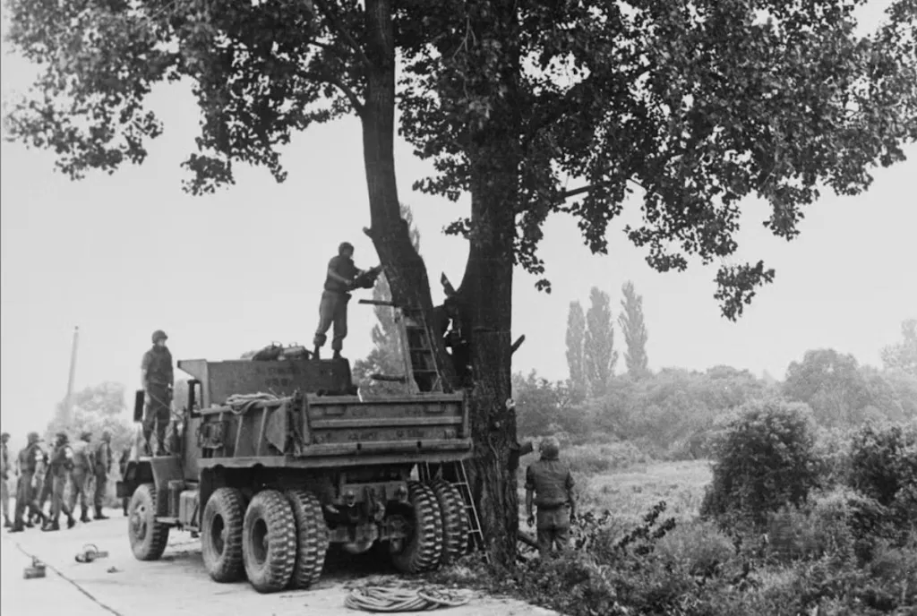 “Panmunjom Tree”: The 1976 tension reflected in a new novel