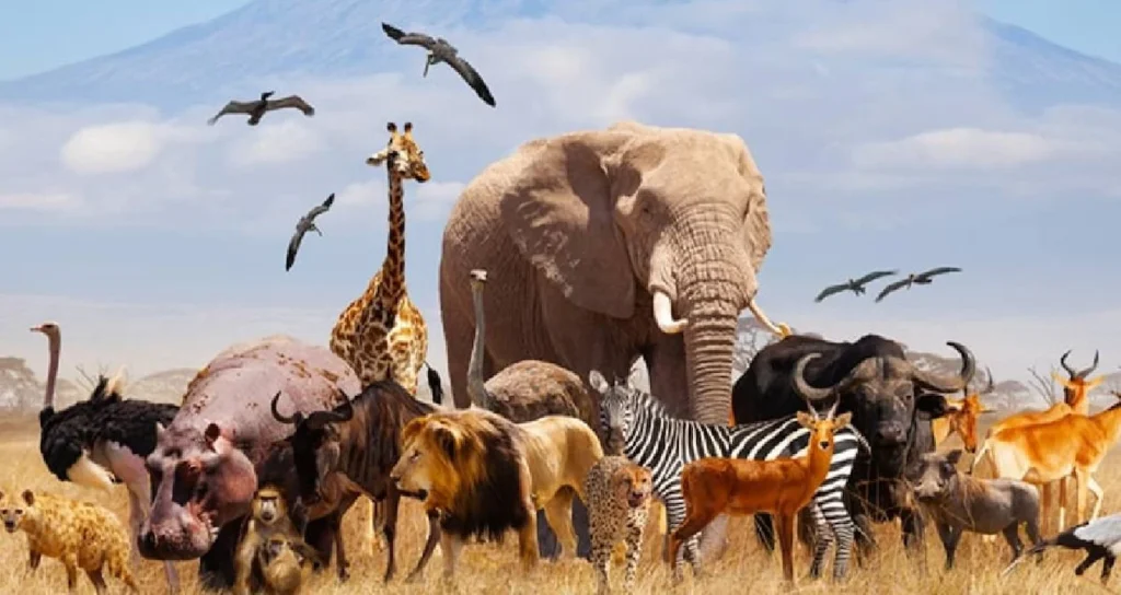 Дубай Создает Крупный Генетический Банк для 10 Тысяч Видов Живых Существ, Находящихся Под Угрозой Исчезновения