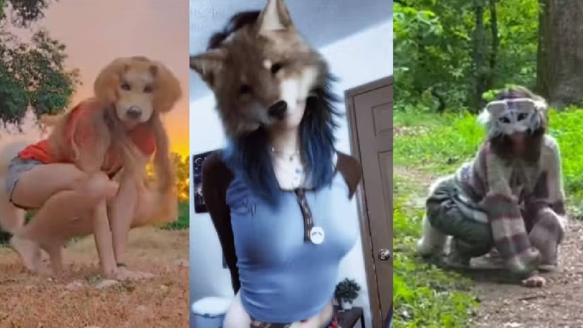 İtə çevrilmək üçün sərvət xərcləyən yapona yeni rəqib