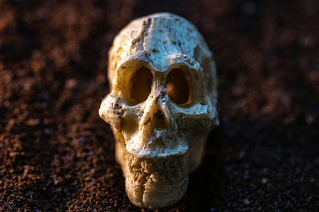 Эскиз, найденный в болоте Джорджии, раскрывает тайну ужасной смерти и обмана.