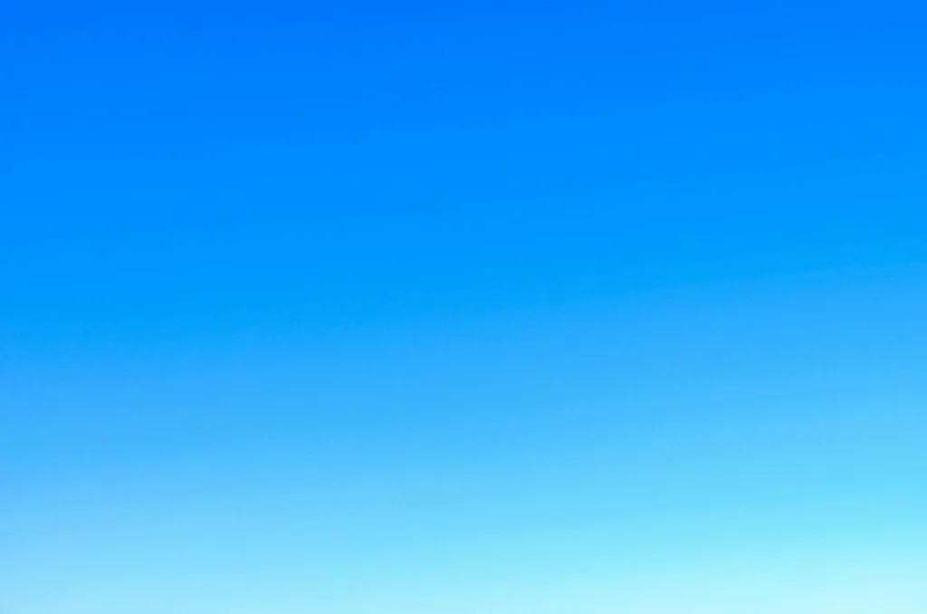 Yeliz's calling the abolition of the caliphate 'treason' met with strong opposition