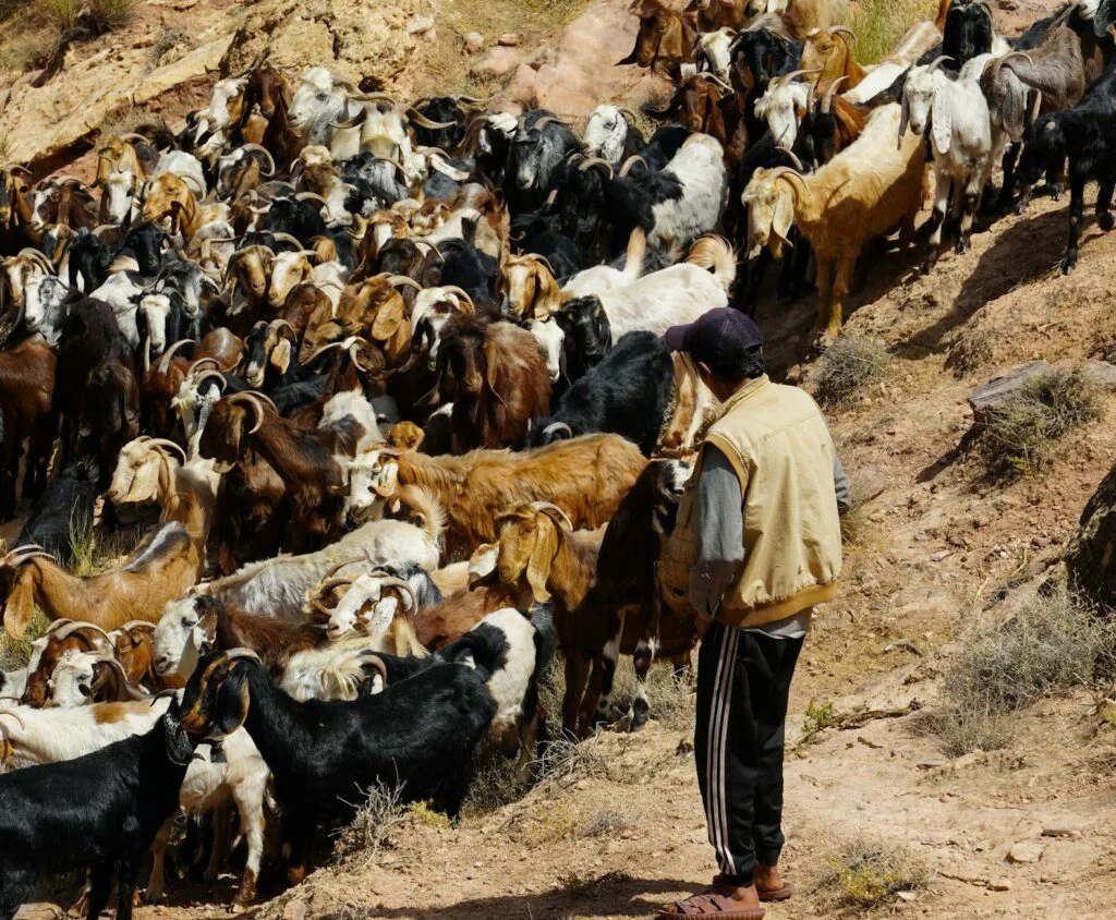 Испания готовится к сильным штормам: угроза не только от дождя