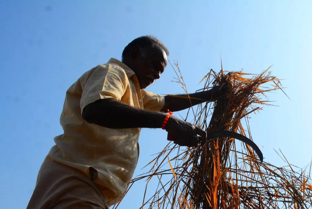 Hörmüz boğazındakı böhran Hindistan iqtisadiyyatı üçün dağıdıcı nəticələr doğura biləcək gizli bir təhdiddir.