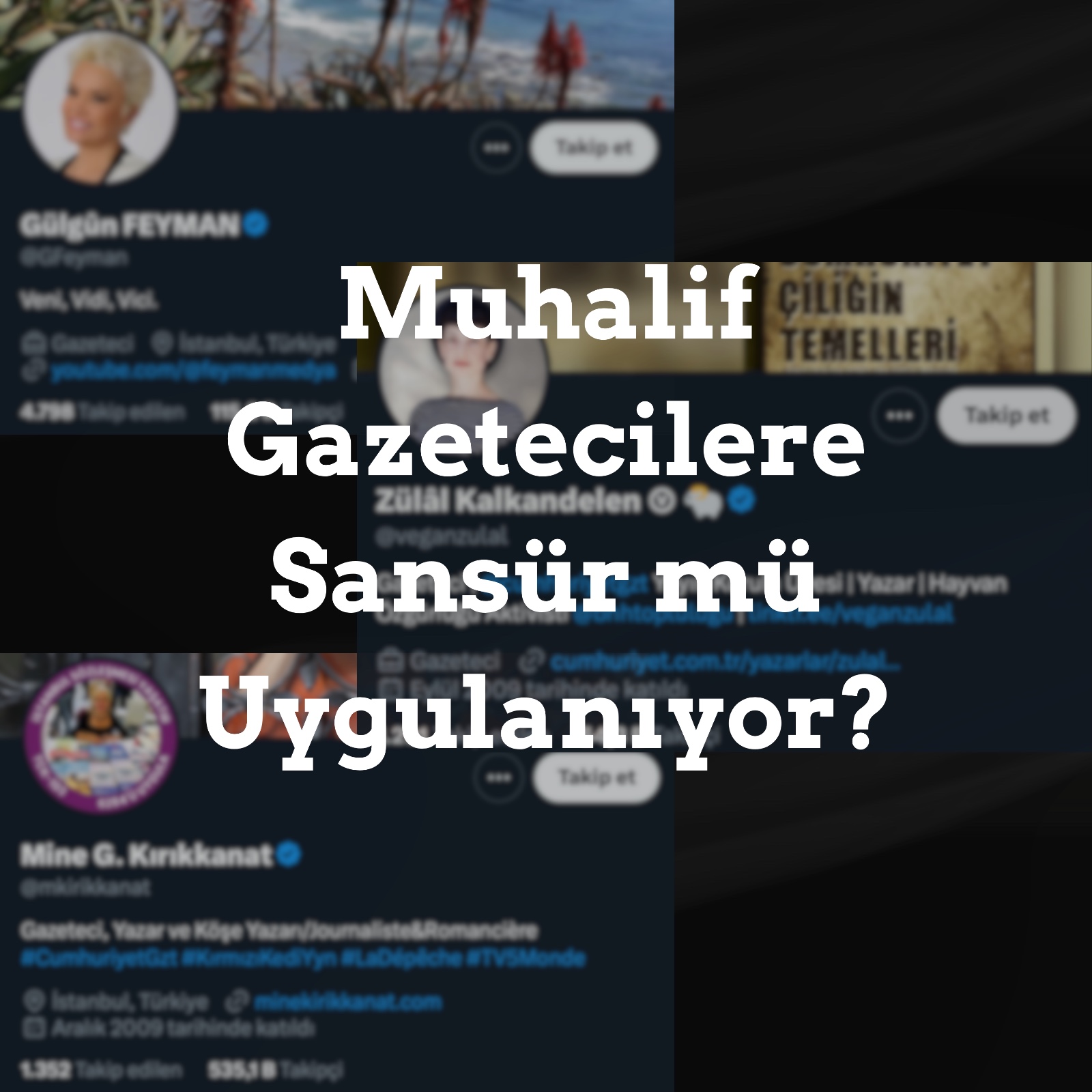Müxalif jurnalistlərə sosial media senzurası