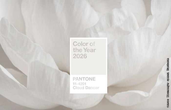 Pantone 2026-cı ilin rəngini açıqladı