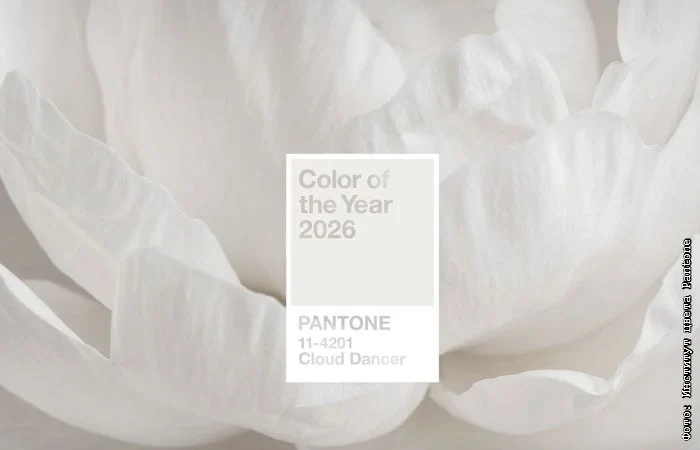 Pantone 2026-cı ilin rəngini açıqladı
