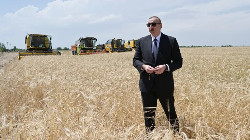 Azərbaycanda kənd təsərrüfatı geriləyir, ərzaq idxalı yüksəlir
