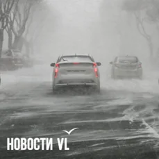 Vladivostokdan son xəbərlər