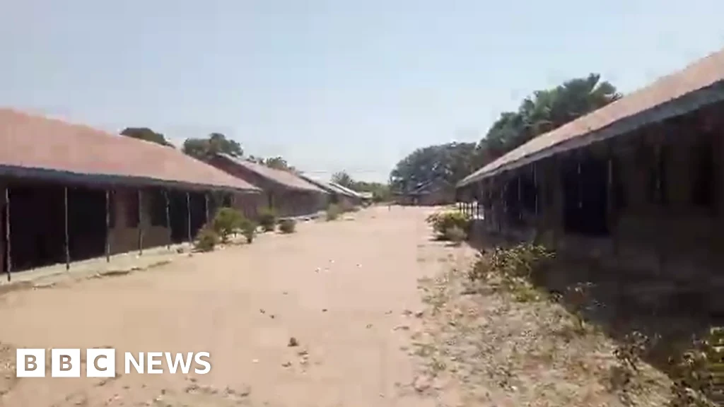 Nigeriyada dəhşətli girov böhranı: Məktəbdən 315 şagird qaçırıldı