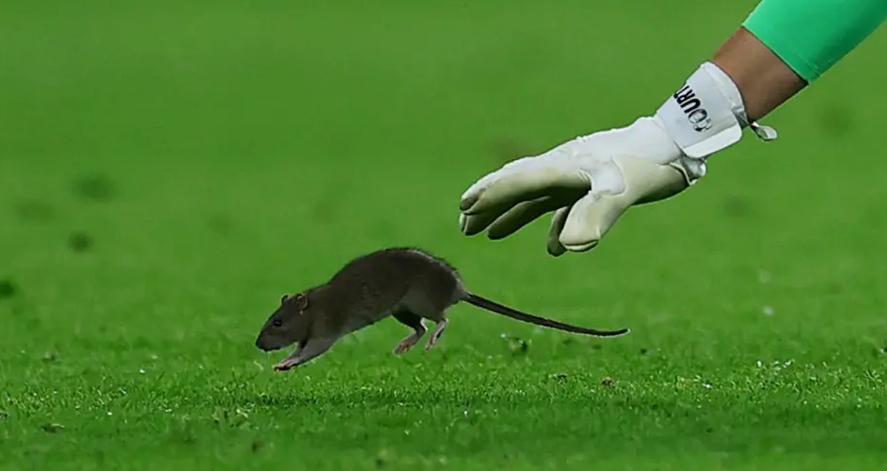 Məşhur qapıçı karyerasını bitirdi