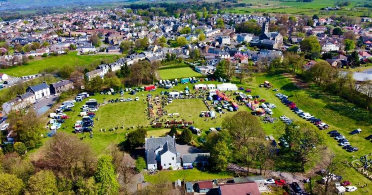 Beyt sakinləri Miller Homs-un ağac kəsməsinə hiddətlənib