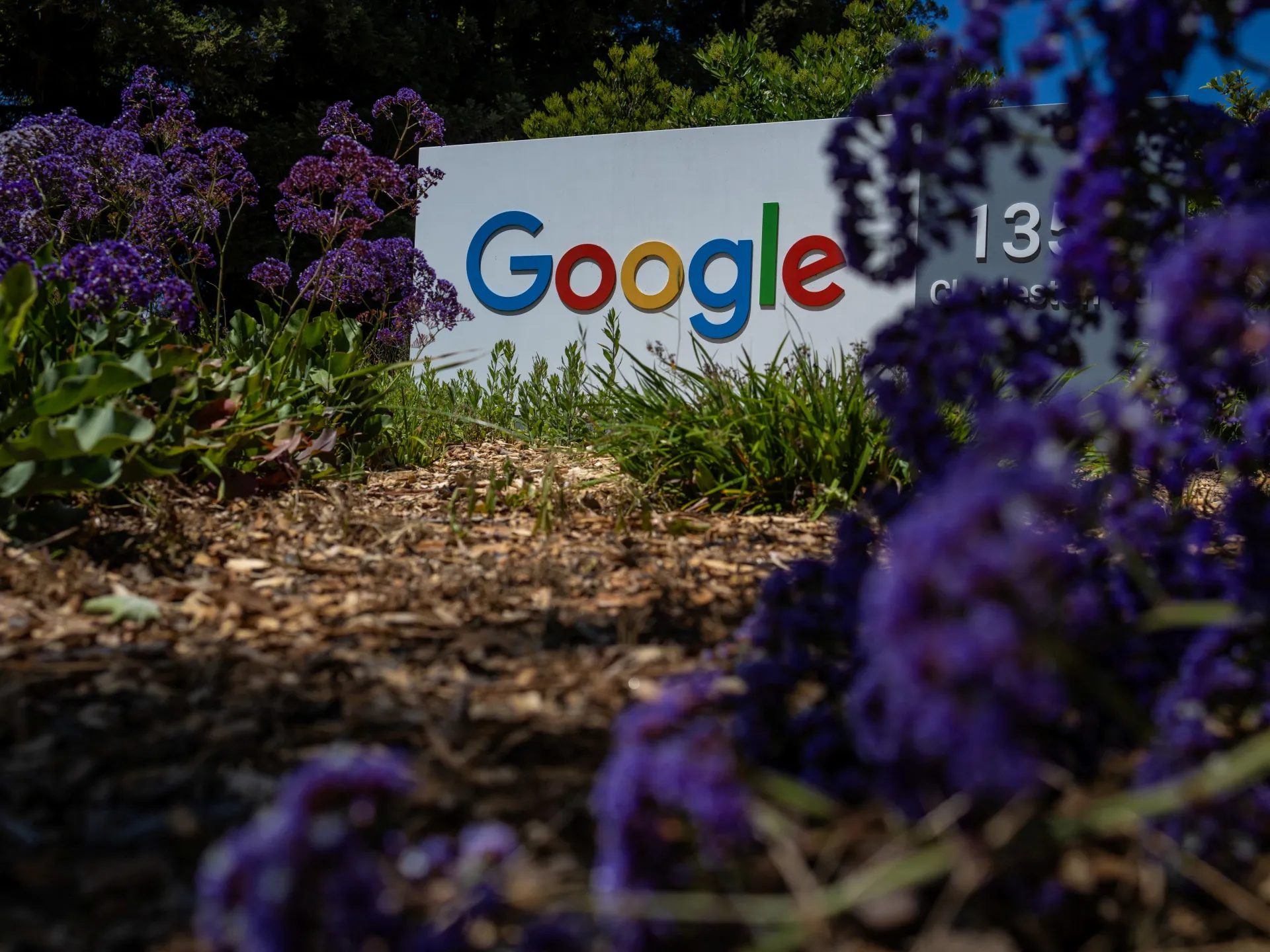 Mühafizəkar Fəal Google-u Süni İntellekt Bəyanatlarına Görə Məhkəməyə Verdi