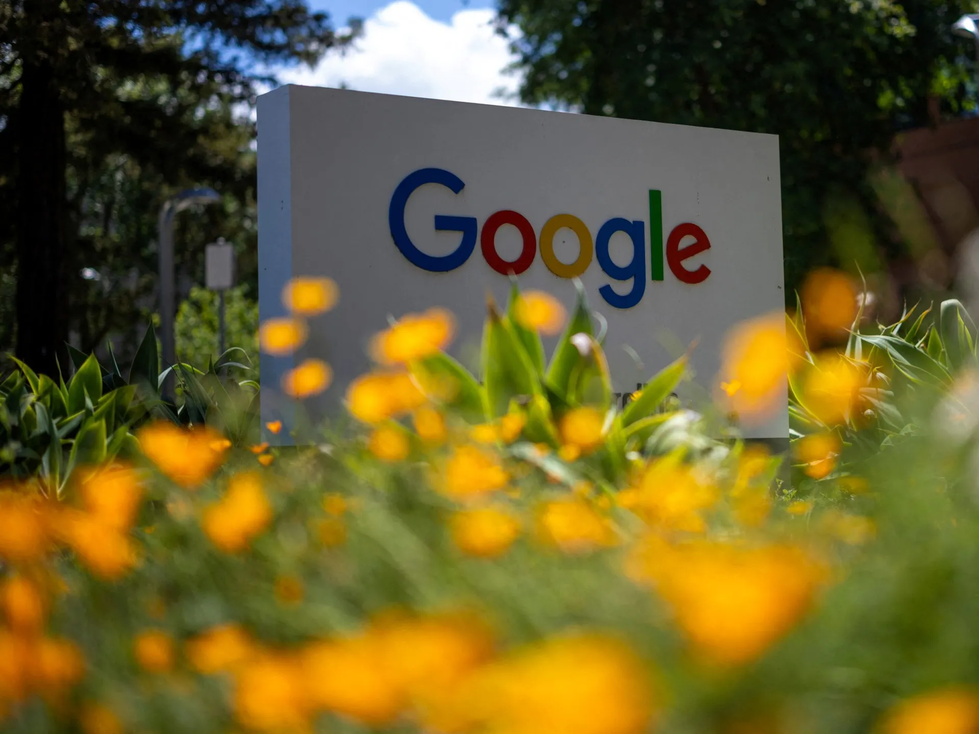 Google rəqiblərlə axtarış məlumatı paylaşacaq