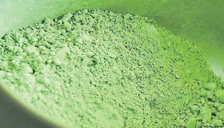 Matcha Ajiotajı