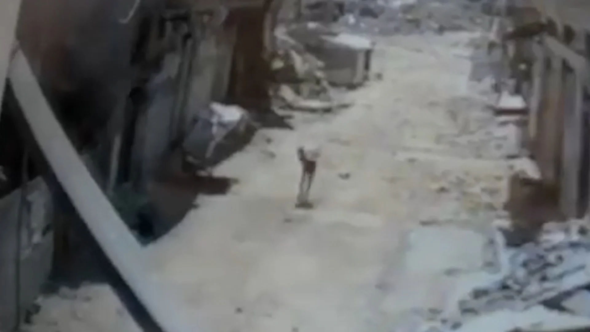 VİDEO: İsrail dronu un kisəsi daşıyan fələstinlini öldürdü