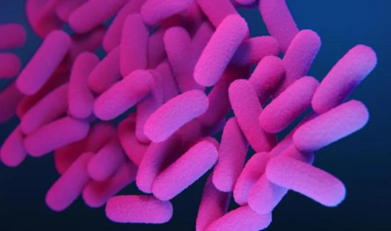 Kentukidə üçüncü körpə göy öskürəkdən öldü Ölkə üzrə hallar yüksəkdir