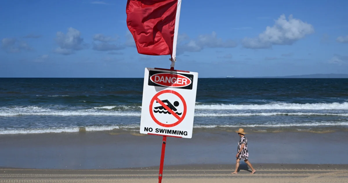 Avstraliyada İsveçrəli turist köpəkbalığı hücumunda həlak oldu