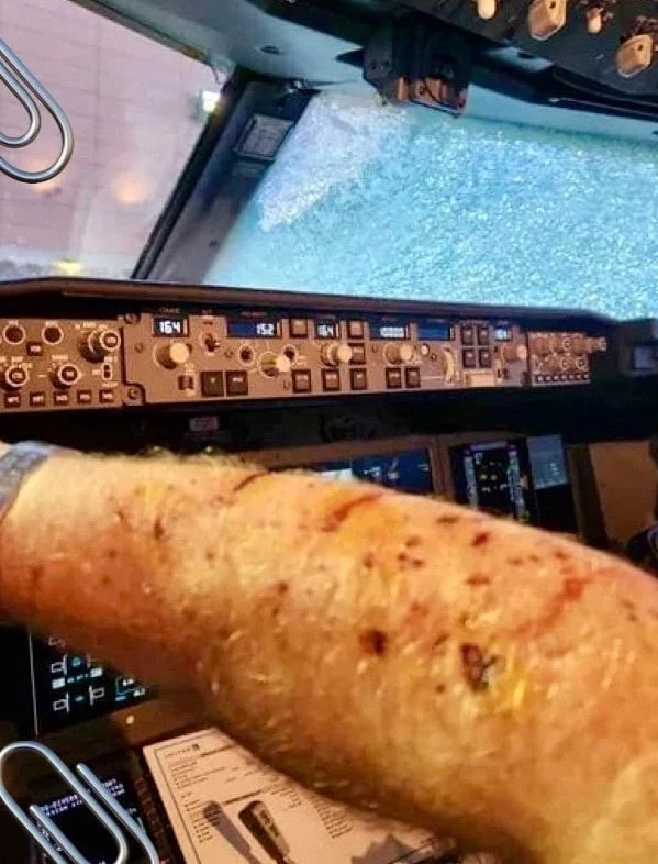 Meteorit sərnişin təyyarəsini vurdu: Kokpit dağıldı, pilot qan içində