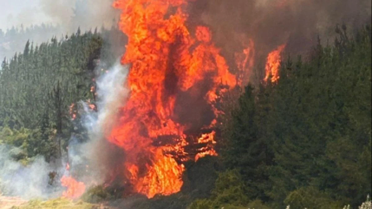 Çili yanğınları şəhərləri məhv edir: Fövqəladə Vəziyyət, ordu iş başında.