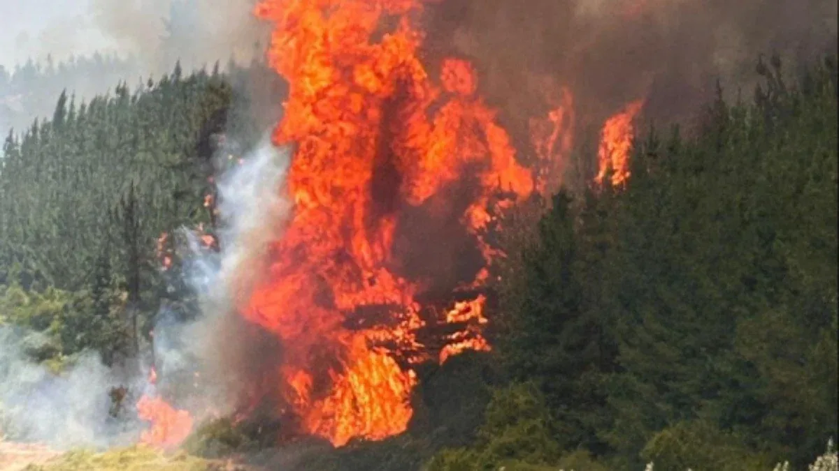 Çili yanğınları şəhərləri məhv edir: Fövqəladə Vəziyyət, ordu iş başında.