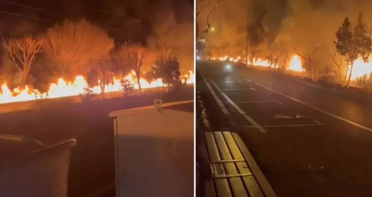 Tehranda neft anbarında baş verən partlayış ABŞ-İsrail zərbələri fonunda Yaxın Şərqdə gərginliyi daha da artırır