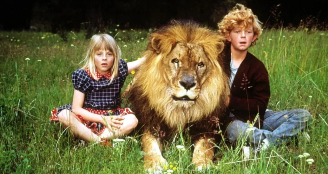 İki Oscarlı aktyordan dəhşətli etiraf: Aslan onu çəkilişdə ağzına alıb silkələdi