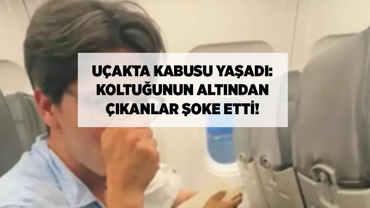 Təyyarədə Şokedici Tapıntı: Sərnişin Kabusu Yaşadı