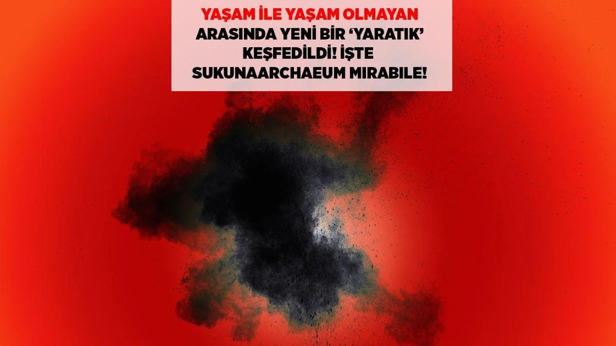 SON DƏQİQƏ: Canlı ilə cansız arasında yeni varlıq kəşf edildi