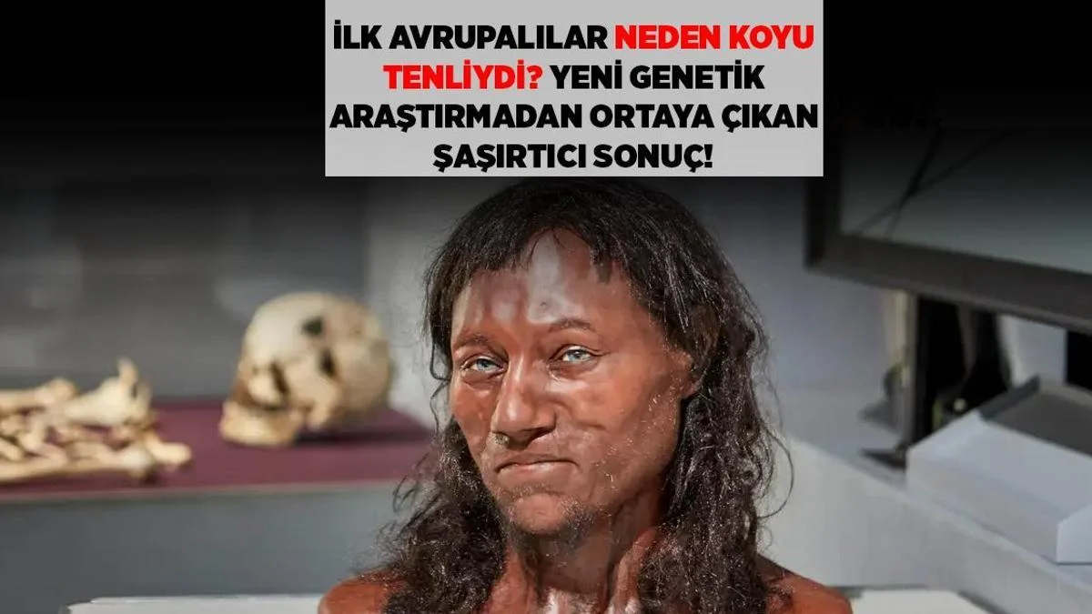 İlk Avropalıların Dəri Sirri: Heyrətamiz Genetik Araşdırma