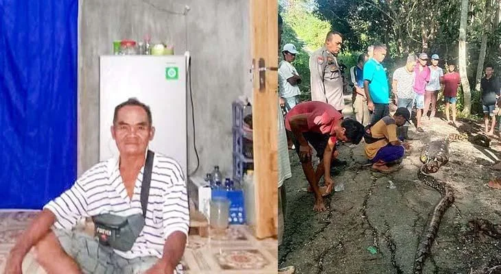 İtkin fermer saatlarla axtarıldı, dəhşətli həqiqət ilanın qarnından çıxdı