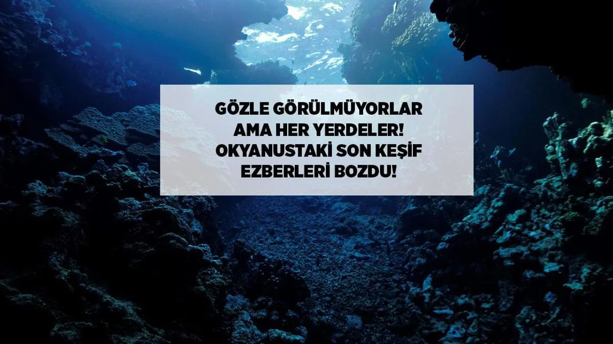 Okeanda gözlə görünməyənlər: Hər yerdədirlər, kəşf bildiklərimizi dəyişdi