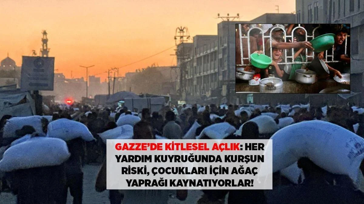 Qəzza Faciəsi Uşaqları doyurmaq üçün ağac yarpaqları qaynadılır