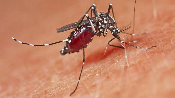Çində təhlükəli virus epidemiyası: Yoluxanların sayı 4 mini keçdi