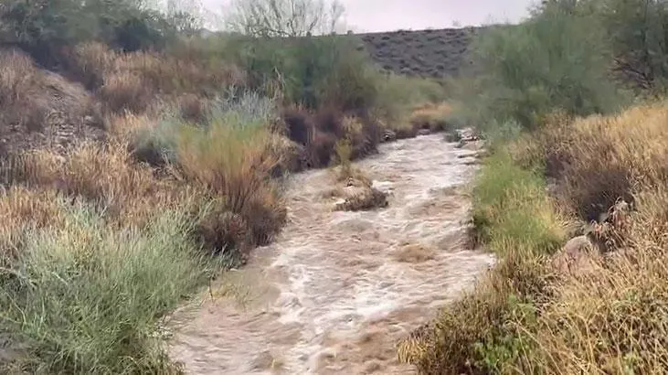 Arizonada daşqında 4 ölü