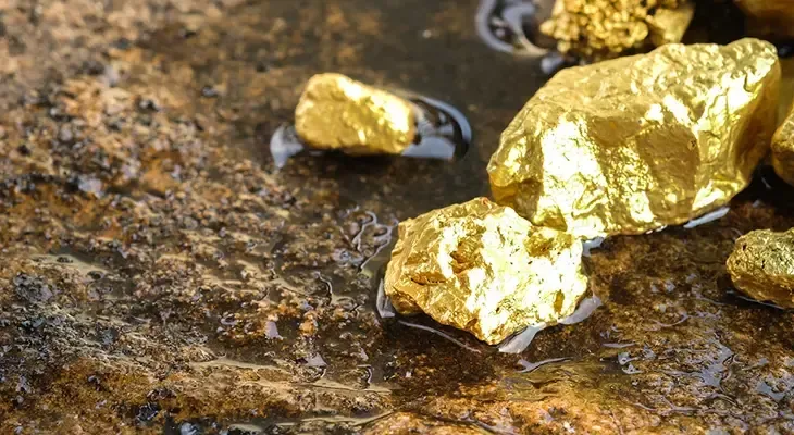 Qızıl Dövr başlayır? Tarixin ən böyük 2 min tonluq xəzinəsi kəşf edildi