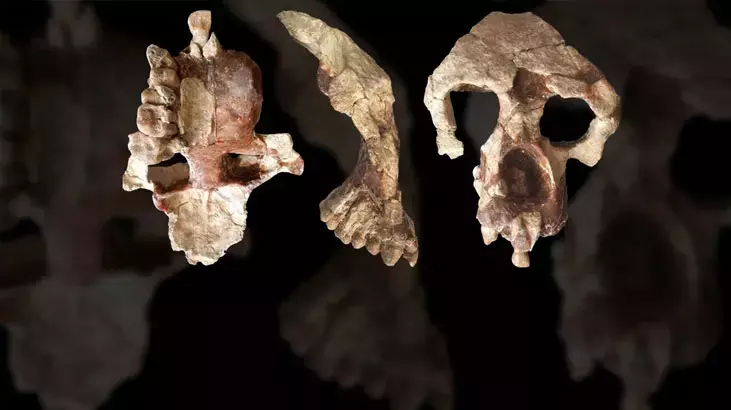 Fas Nazirliyi: 773 min illik insan fosilləri