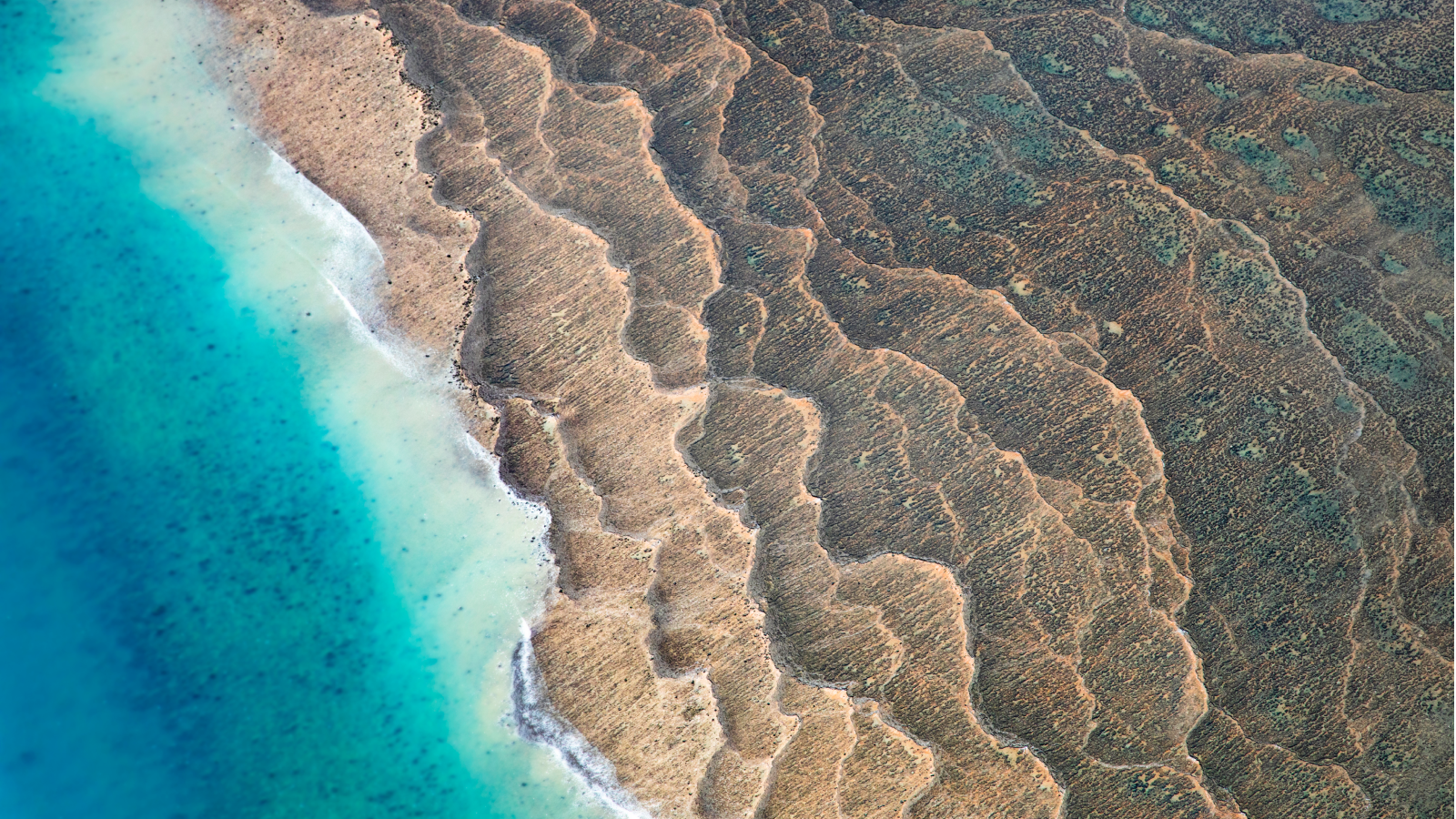 Nuna superqitəsinin parçalanması mürəkkəb həyat üçün beşik yaratdı – Araşdırma