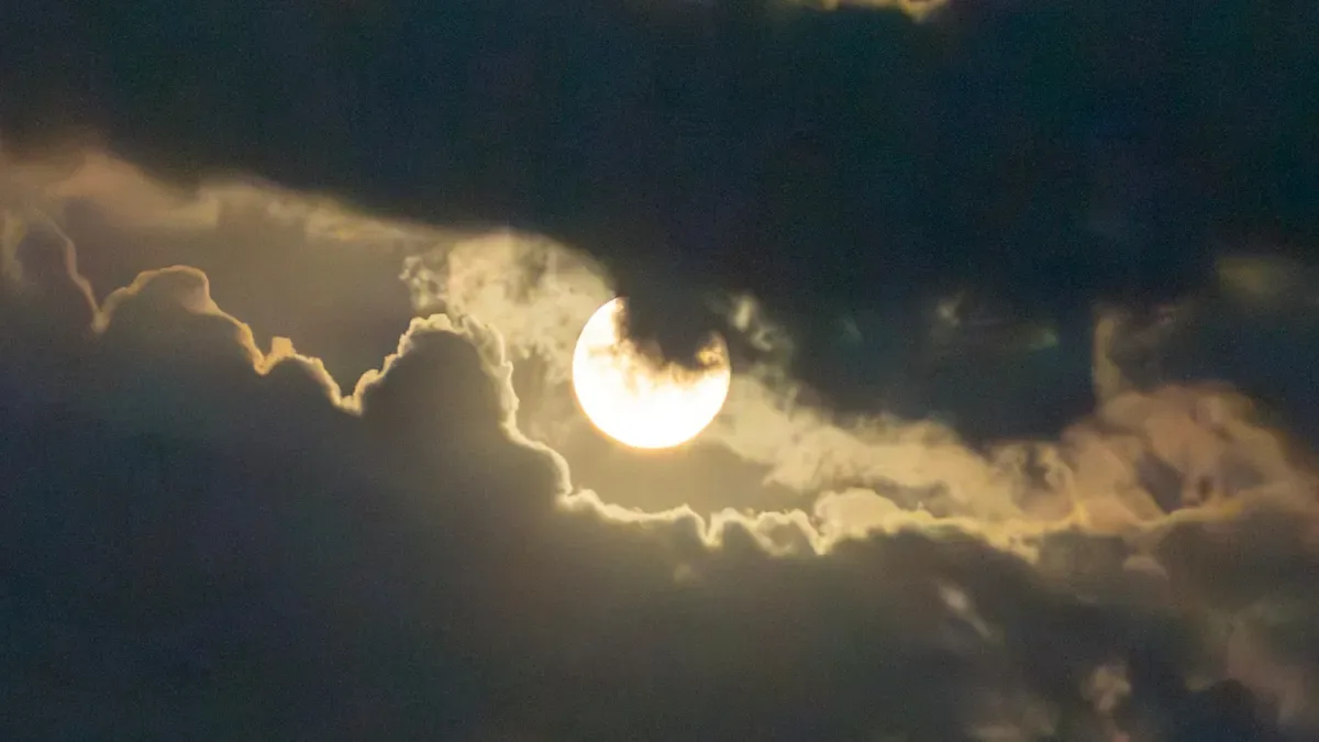 Super Soyuq Ayı necə izləməli