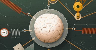 Genlər Fizikanı Canlıların İnkişafına Necə Yönəltdi