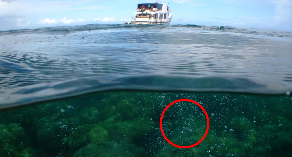 Sualtı vulkan yaxınlığında köpük kütləsi Avstraliyanı təcili xəbərdar edir