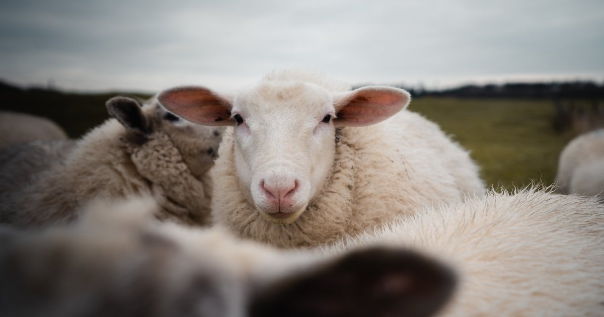 11 noyabr 2025: Hava əlamətləri, batil inanclar və qadağalar