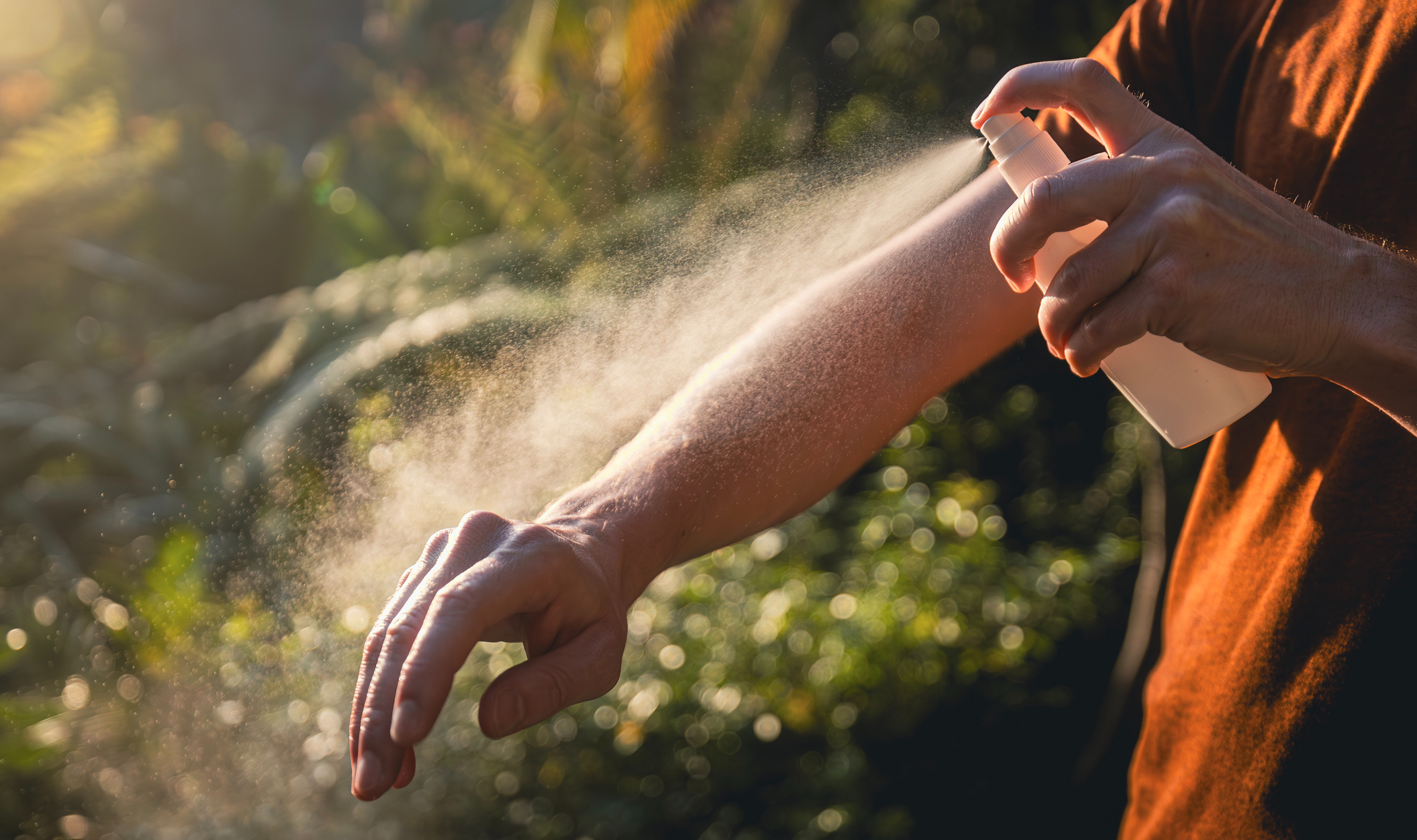 Finiks ağcaqanadları güclü yağışlarla coşdu
