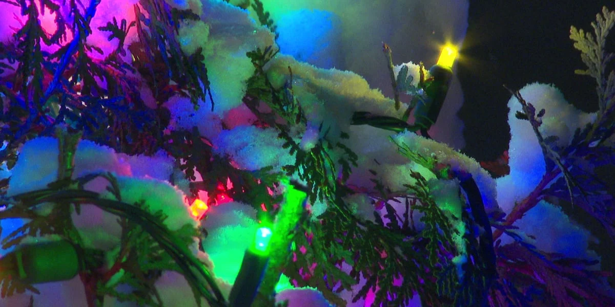 Medisonda könüllünün səhhəti pisləşdi, bayram işıqları zamanı həyatı xilas edildi