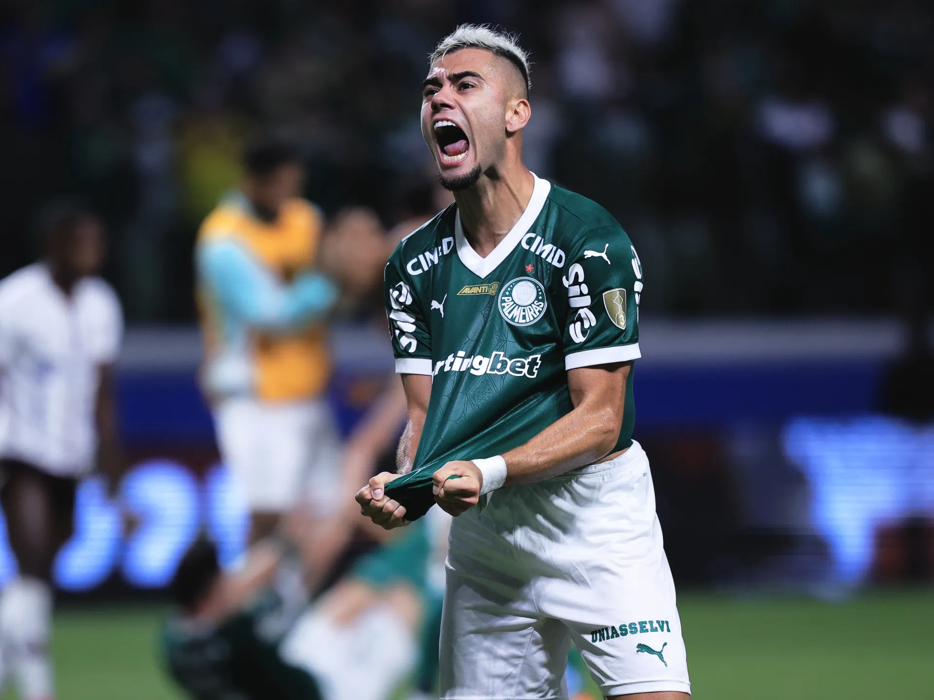 Copa Libertadores finalı: Palmeiras-Flamengo dueli, bütün təfərrüatlar