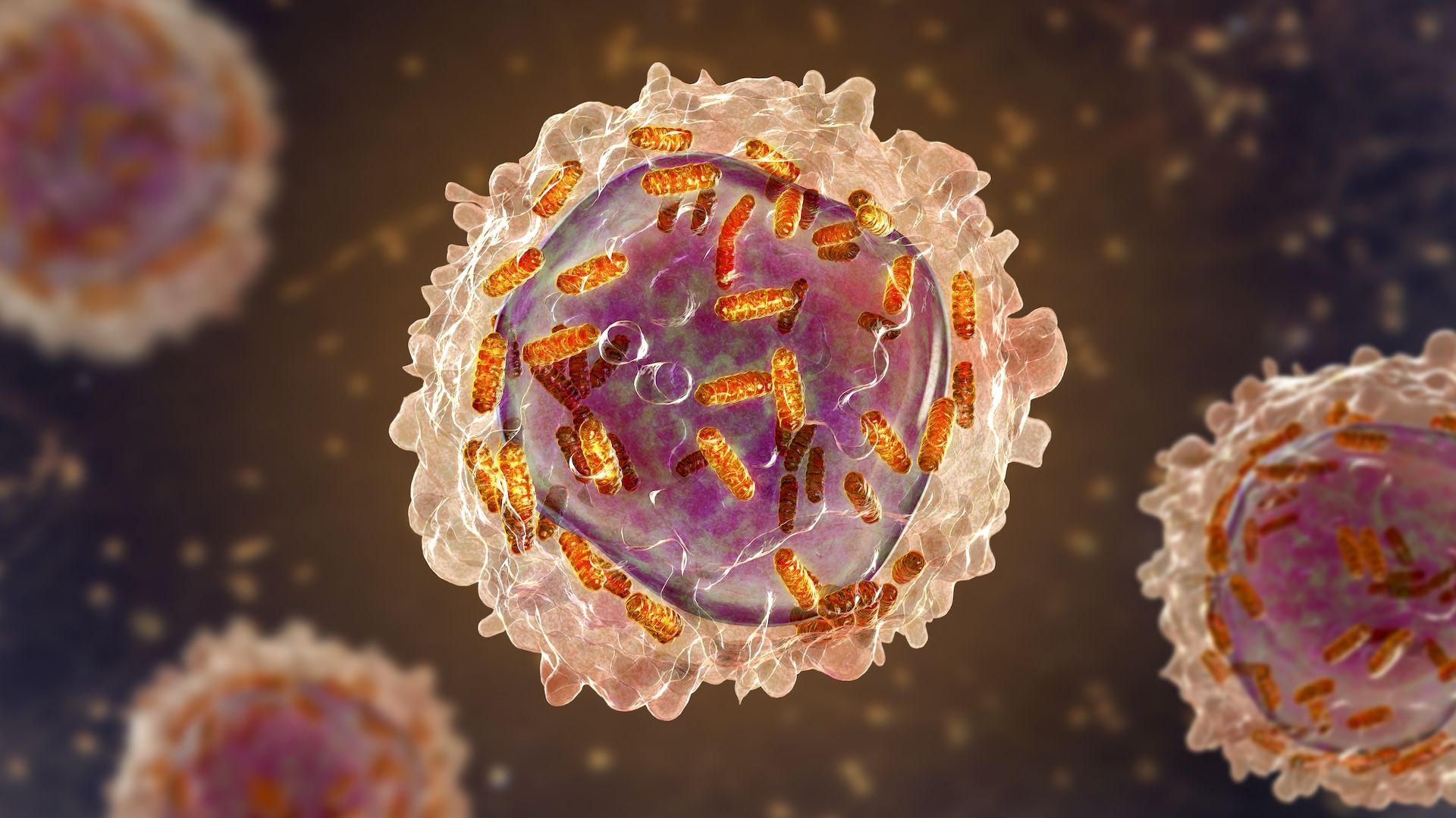 Leukemiya əleyhinə dərman: Qadağan olunan qadın kimyaçıdan möcüzəvi müalicə