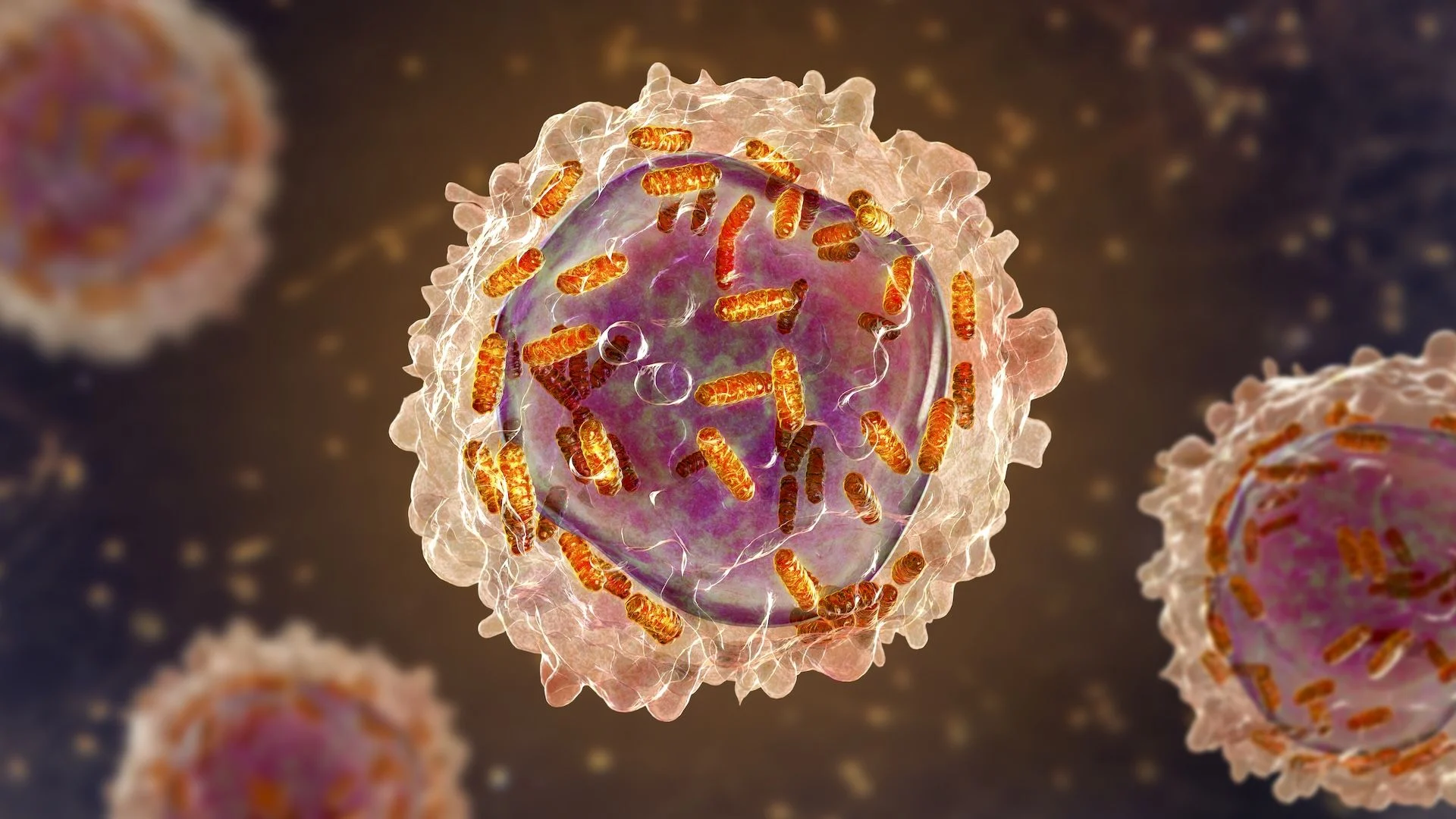 Leukemiya əleyhinə dərman: Qadağan olunan qadın kimyaçıdan möcüzəvi müalicə