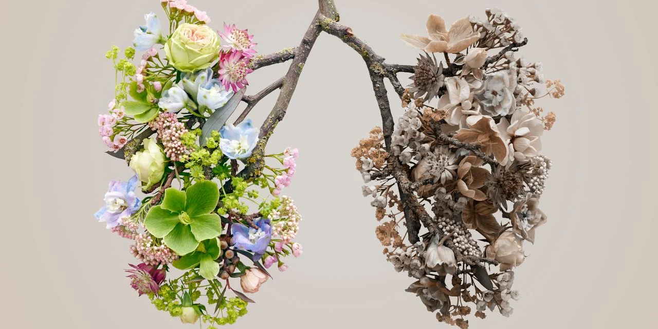 Qadınlarda ağciyər xərçəngi təhlükəsi əlamətləri nəzərdən qaçırmayın