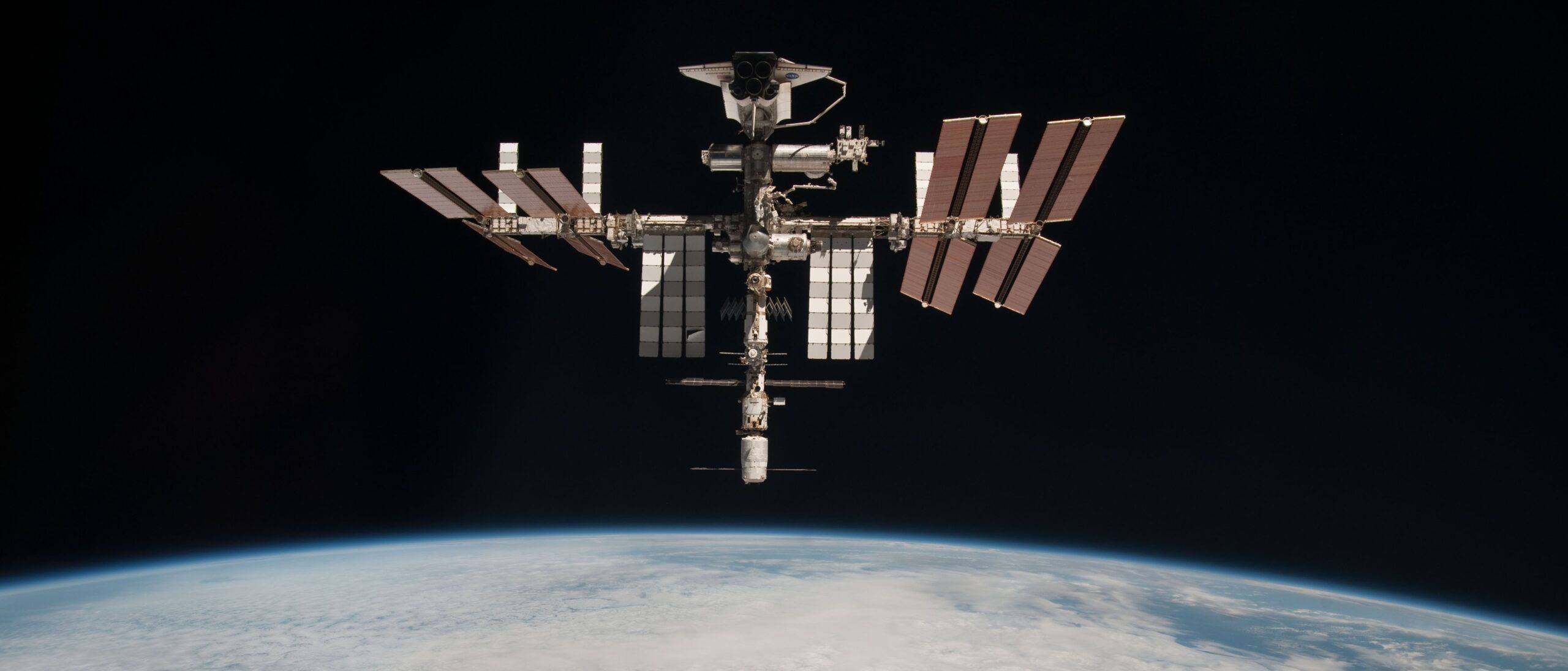 Yosun aləmi: Kiçik addımdan nəhəng sıçrayışa