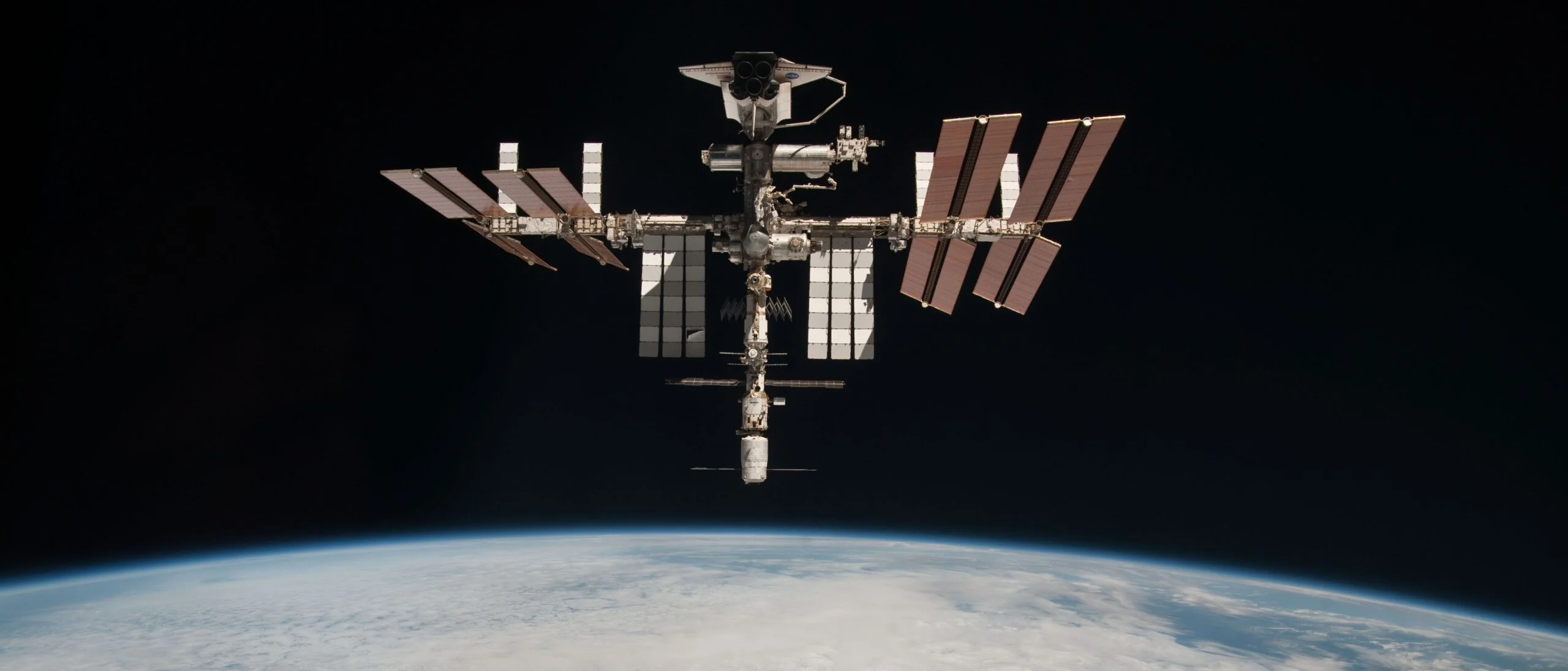 Yosun aləmi: Kiçik addımdan nəhəng sıçrayışa