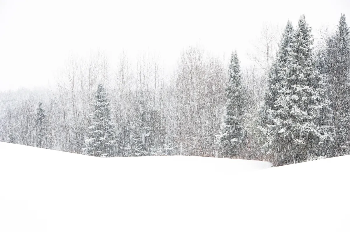 Qış fırtınası xəbərdarlığı: Şimal-şərqi 40 sm qar bürüyəcək